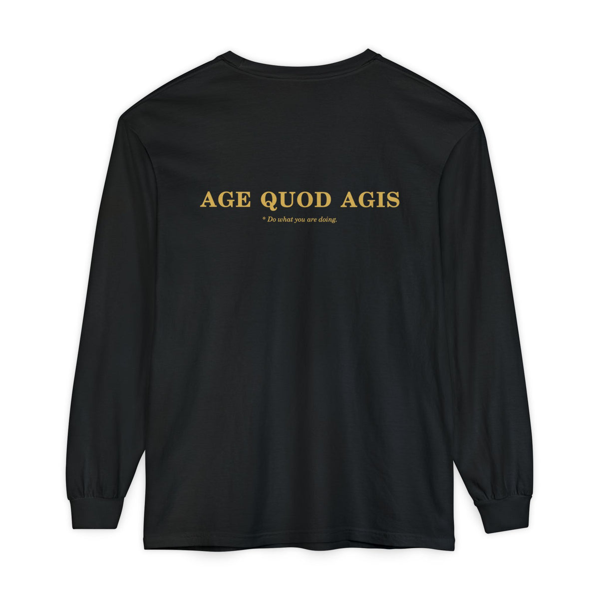Washed Long-Sleeve Tee (Helm / Age Quod Agis)