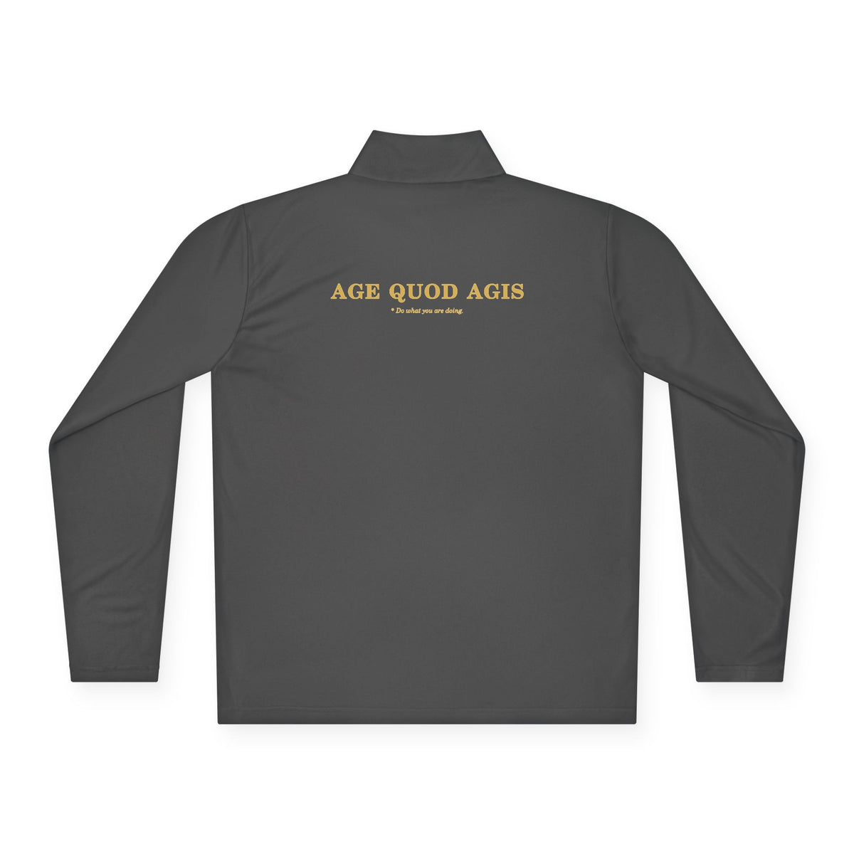 Men's Performance Quarter-Zip (Helm / Age Quod Agis)