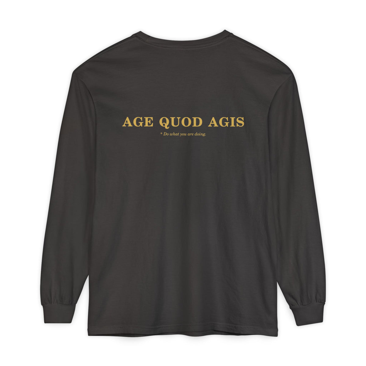 Washed Long-Sleeve Tee (Helm / Age Quod Agis)