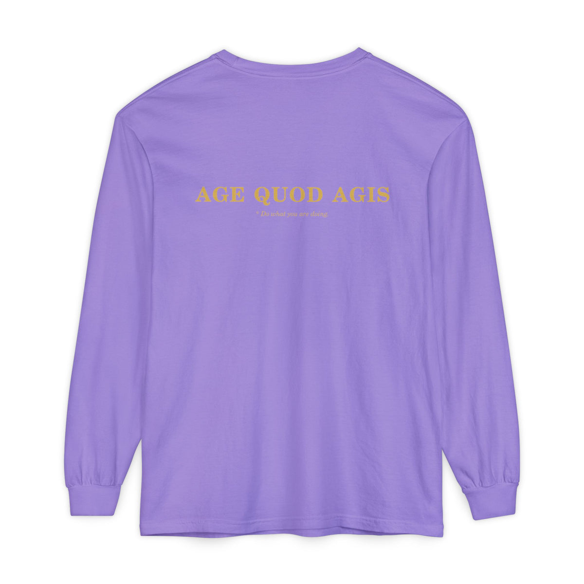 Washed Long-Sleeve Tee (Helm / Age Quod Agis)