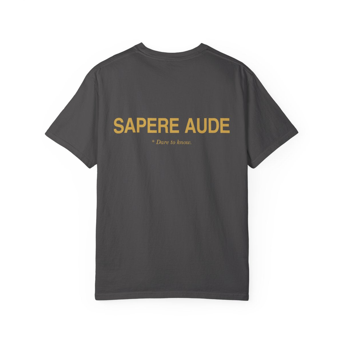 Back of graphite casual tee with Sapere Aude in gold