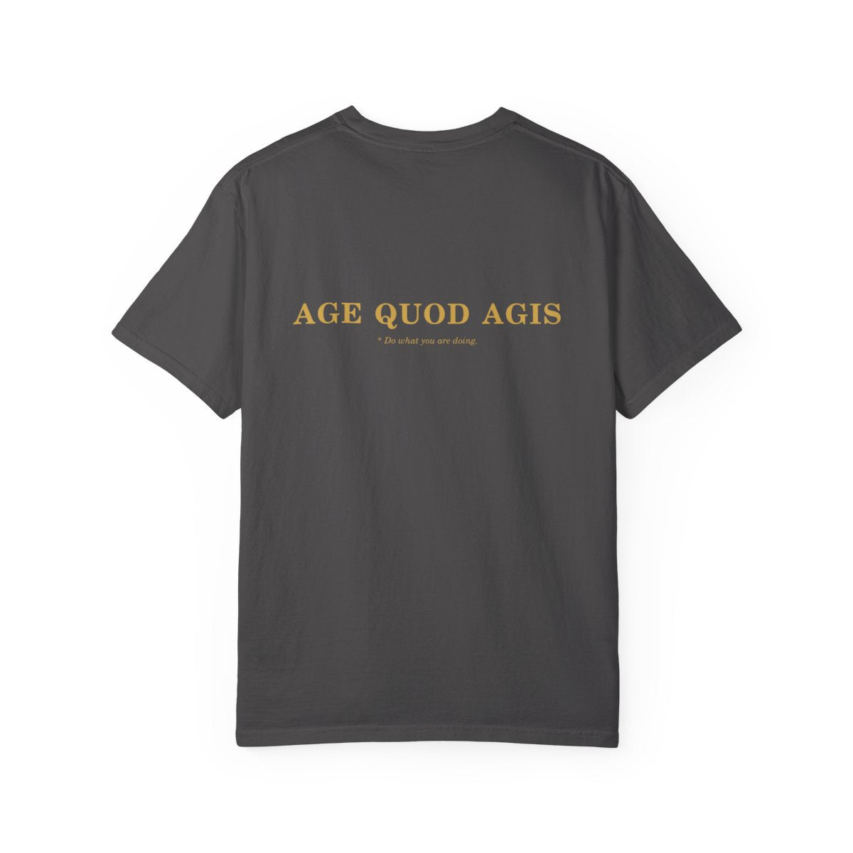 Back of graphite casual tee with Age Quod Agis in gold